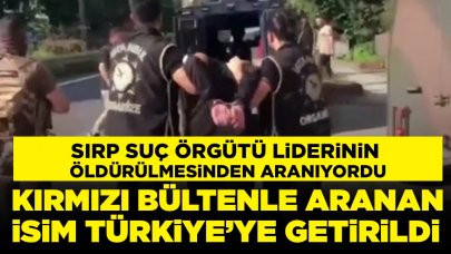 Sırp suç örgütü liderinin öldürülmesinden aranıyordu: Yakup Doğan Türkiye'ye getirildi