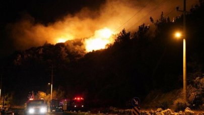 Orman yangının çıkış sebebi belli oldu: Şüpheli tutuklandı