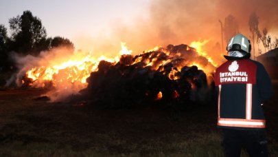 Yüksekova'da yangın