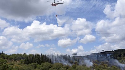 TEM Otoyolu kenarında yangın: Birçok ilçeden itfaiye ekibi sevk edildi