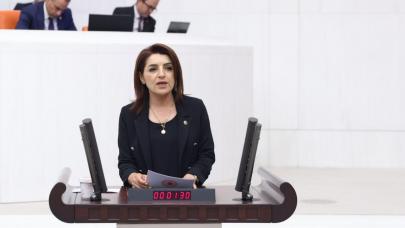 CHP’li Kış’tan Mehmet Şimşek’e tepki!