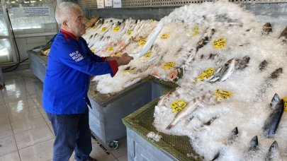 Sıcak hava dalgası vurdu: Balıklar buza gömüldü