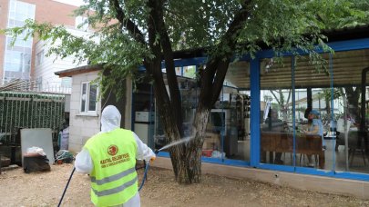 Kartal’ın parklarında halk ve çevre sağlığı için ilaçlama devam ediyor