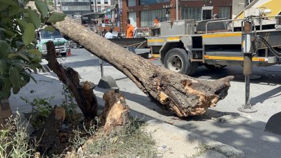 Rüzgarın etkisiyle devrildi: Yoldan geçenler kıl payı kurtuldu