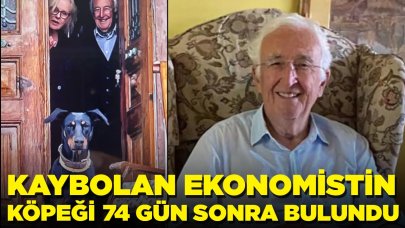 74 gündür aranıyor: Korhan Berzeg'in köpeği günler sonra eve döndü