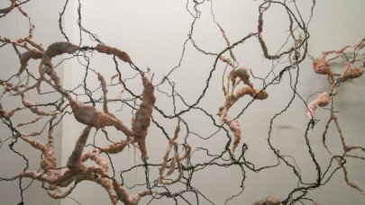 Üniversiteli genç sanatçılara çağrı!