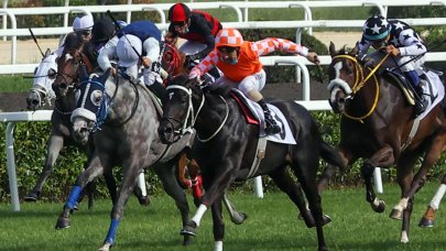 24 Eylül 2023 Pazar İstanbul At Yarışı Tahminleri ve Programı