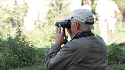Dünyanın dört bir yanından geliyorlar: Yırtıcı kuş göçü gözlemi