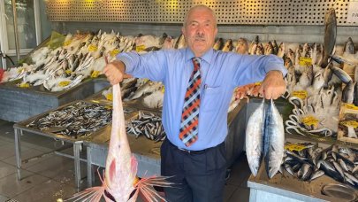 Balıkçılar mazot desteği istiyor