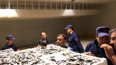 Boy yasağına aykırı avlanan 3 ton istavrite el konuldu