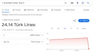 Son dakika haberi... Dolar, Google’da yine 24 lira!