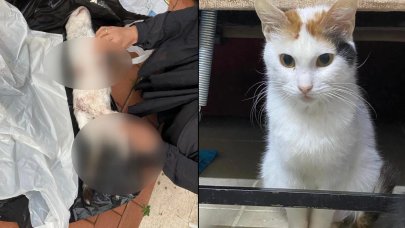 Çiçek'in vahşice öldürülmesine tepki: 'Aynı şekilde cezalandırılsın'