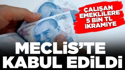 Çalışan emeklilere 5 bin TL ikramiye önergesi Meclis'te kabul edildi