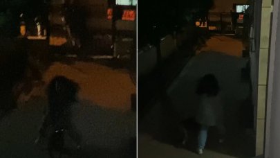 Yine bir pitbull dehşeti: 2 çocuk yaralandı