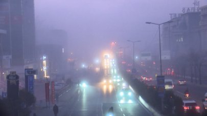 Megakenti sis vurdu!