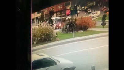 Sokak köpekleri yoldan geçenlerin kabusu oldu: 'Herkesi kovalıyor'