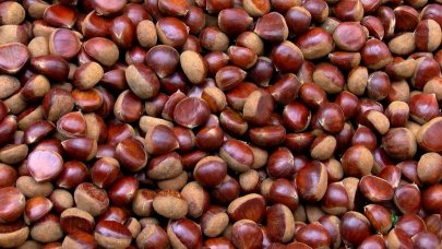 İstanbul'da pazarda Çin kestanesi denetimi