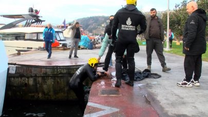 Beşiktaş'ta dalgıçlı kedi kurtarma operasyonu