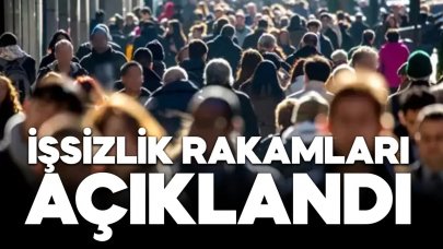 TÜİK kasım ayı işsizlik rakamlarını açıkladı