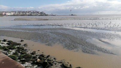 Sahil şeridini sular altında! Denizle kara birleşti