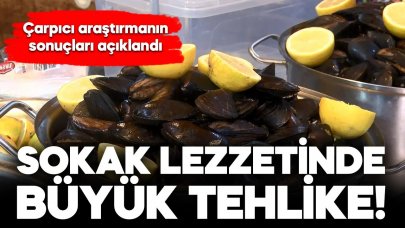 Boğaz midyesinde mikroplastik uyarısı