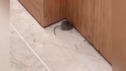 Fare market reyonları arasında cirit attı!