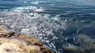 Akdeniz'de deprem! Son dakika depremleri