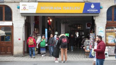 Baharın habercisi mimozalar hırsızların hedefinde!