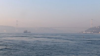 Megakenti sis kapladı!