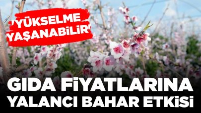 Gıda fiyatlarına yalancı bahar etkisi: 'Yükselme yaşanabilir'