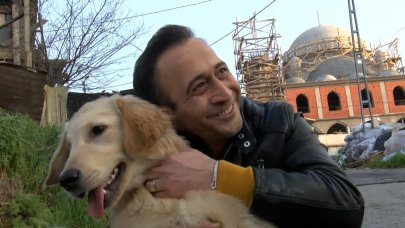 Yol kenarına atılan köpeğin sahibi aranıyor