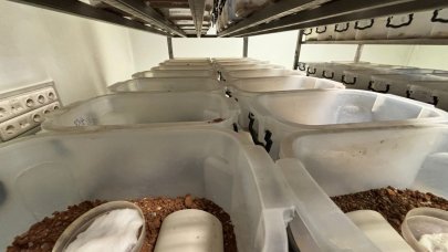 Türkiye, Avrupa'ya 'akrep serumu' ihraç edecek