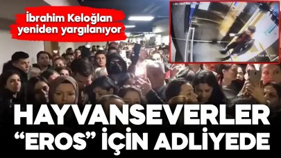 Hayvanseverler Eros için adliyeye akın etti