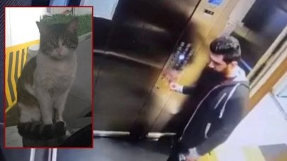 Eros'un katili için tutuklama talebi