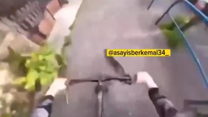 Bisikletle akrobatik hareketler yaparken kediyi ezdi!