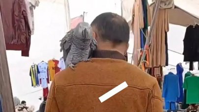 Pazar alışverişine papağanıyla giden adam dikkatleri üzerine çekmeyi başardı