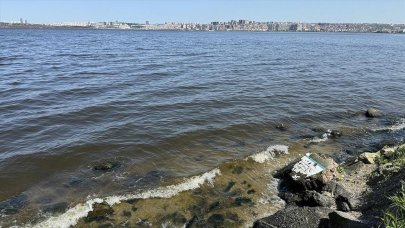 Küçükçekmece Gölü'nde korkutan görüntü