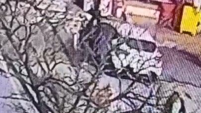 Pitbull saldırısının görüntüleri ortaya çıktı