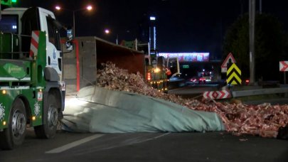 Kamyon devrildi, hayvansal atıklar yola döküldü!