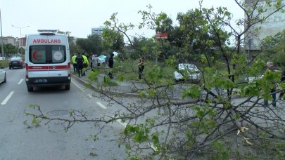 Kontrolden çıkan otomobil ağaca çarptı: 1 yaralı