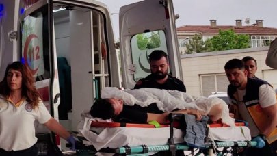 Yeğeni üzüm asmasını kesti, dayısı silahla saldırdı!