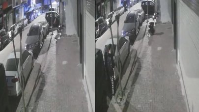 İstanbul'da pitbull dehşeti: Kediyi öldürdü