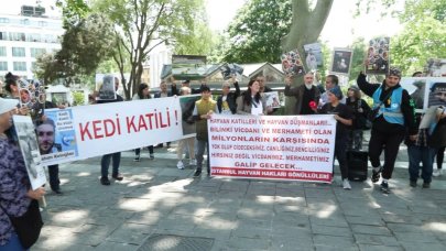 Beyazıt Meydanı'nda öldürülen kediler için hayvanseverlerden protesto