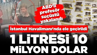 İstanbul Havalimanı'nda endemik hayvan operasyonu: Bin 500 adet akrep, tarantula, örümcek...