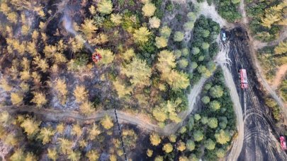 Adana'da çıkan orman yangını kontrol altına alındı