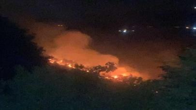 15 yıldır yanmayan ormanlarda, 8 günde 3 kez yangın çıktı