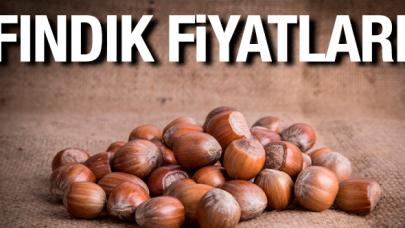Fındık kaç lira? 3 Aralık Salı fındık fiyatları