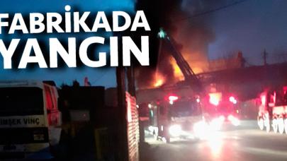 Pendik Kurtköy'deki metal kaplama fabrikasında yangın