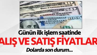 24 Mart Salı dolar alış ve satış fiyatları! Dolar kaç lira