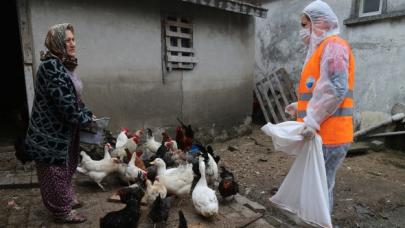 Tavuk yemi bitti yetiş Başkanım!